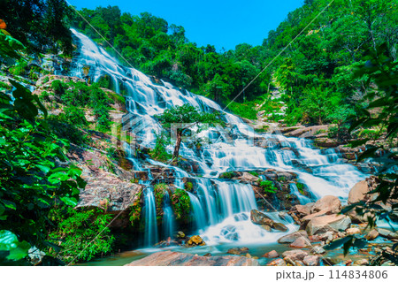 Amazing deep forest big waterfall at Mae Ya waterfall, Doi Inthanon national park Chiangmai, Thailand. Translate text " Mae Ya waterfall " 114834806