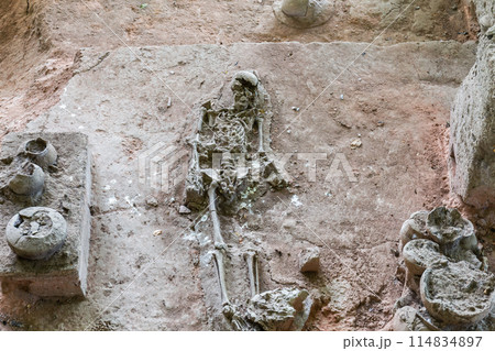 Human and dog skeletons with Dvaravati period items discovered in Si Thep Historical Park, Phetchabun Province, Thailand. Human and dog skeletons with Dvaravati period items discovered in Si Thep Historical Park, Phetchabun Province, Thailand. 114834897
