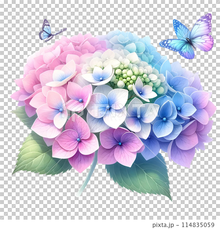 3d hydrangea flowers isolated on white background 114835059