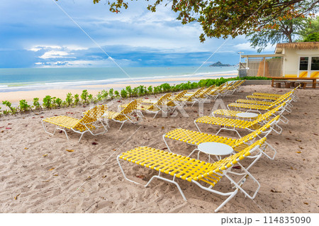 Plenty of beach chairs on the sand under the trees during the day. with beautiful sky in summer Plenty of beach chairs on the sand under the trees during the day. with beautiful sky in summer 114835090