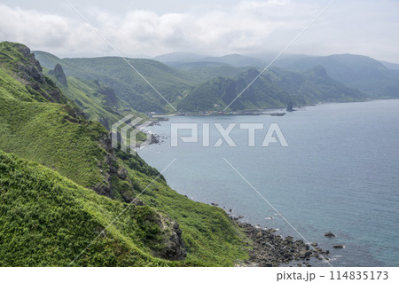 新緑の岸壁と澄み切った海水の日本海 新緑の岸壁と澄み切った海水の日本海 114835173