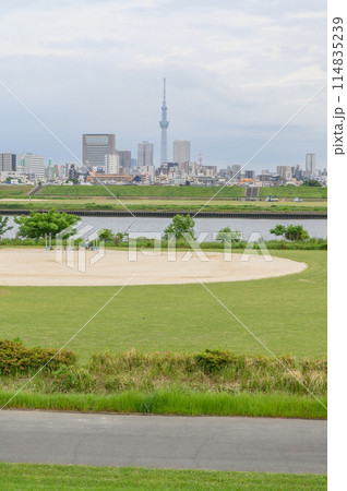 曇天の荒川土手 曇天の荒川土手 114835239