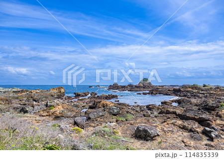 伊豆の爪木崎海岸の初夏の景色 伊豆の爪木崎海岸の初夏の景色 114835339