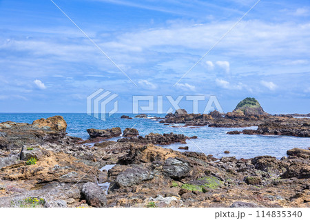 伊豆の爪木崎海岸の初夏の景色 伊豆の爪木崎海岸の初夏の景色 114835340