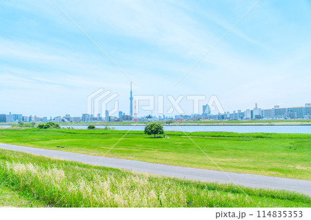 初夏に広がる青空・河川敷 初夏に広がる青空・河川敷 114835353