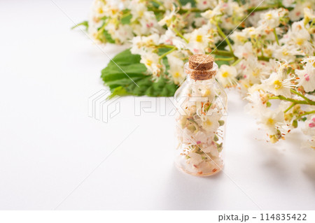 Tincture of horse chestnut flowers in a glass bottle. Homemade herbal tincture. Hair treatment concept. Close up 114835422