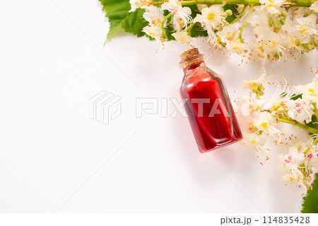 Tincture of horse chestnut flowers in a jar. Homemade herbal tincture. Hair treatment concept. Flat lay Tincture of horse chestnut flowers in a jar. Homemade herbal tincture. Hair treatment concept. Flat lay 114835428