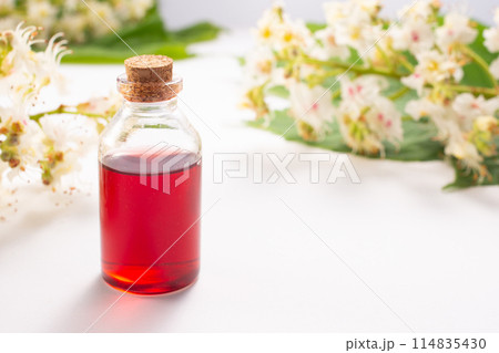 Tincture of horse chestnut flowers in a jar. Homemade herbal tincture. Hair treatment concept. Flat lay Tincture of horse chestnut flowers in a jar. Homemade herbal tincture. Hair treatment concept. Flat lay 114835430