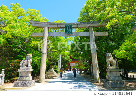 大山祇神社 愛媛県観光 114835641