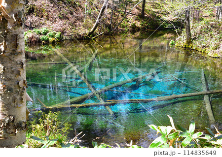 北海道　神の子池 114835649