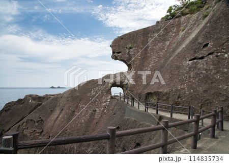 鬼ヶ城の遊歩道　【三重県熊野市】 114835734