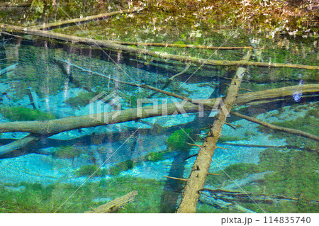 北海道　神の子池 114835740