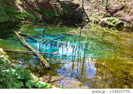 北海道　神の子池 114835770