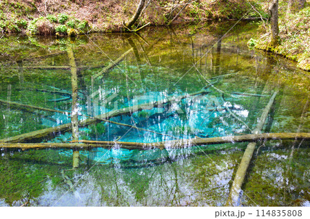北海道 神の子池 北海道 神の子池 114835808