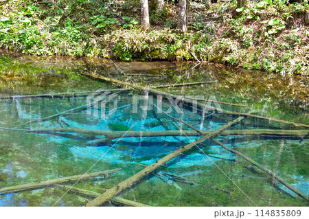 北海道 神の子池 北海道 神の子池 114835809