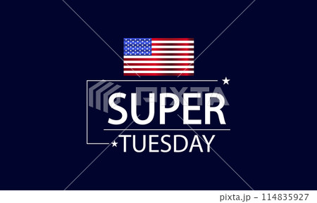 Patriotism on Super Tuesday with American Flag Fashion 114835927