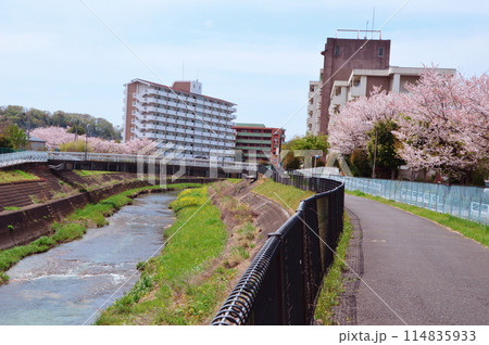 集合住宅の春　八王子市　 114835933