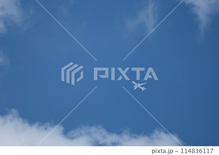 ANAボーイング787Dreamliner 114836117