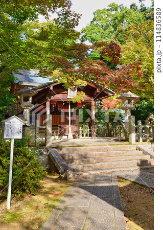 京都　吉田神社の末社　竹中稲荷社（竹中稲荷神社）　　（京都市左京区） 114836589