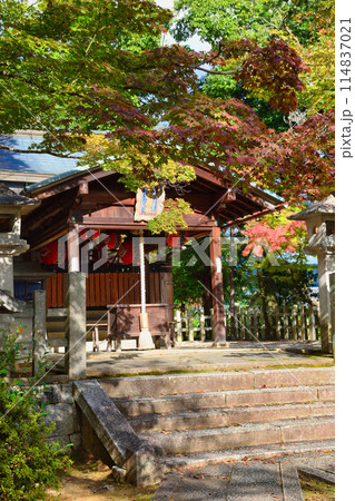 京都 吉田神社の末社 竹中稲荷社(竹中稲荷神社) (京都市左京区) 京都 吉田神社の末社 竹中稲荷社(竹中稲荷神社) (京都市左京区) 114837021
