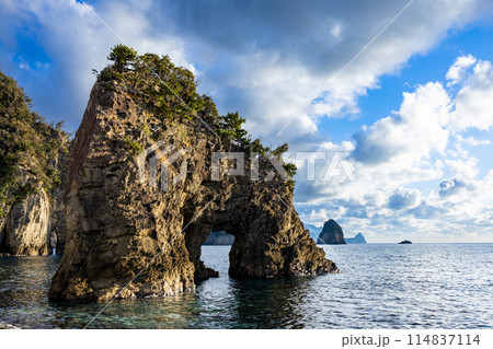 西伊豆　浮島海岸の奇岩の風景 114837114