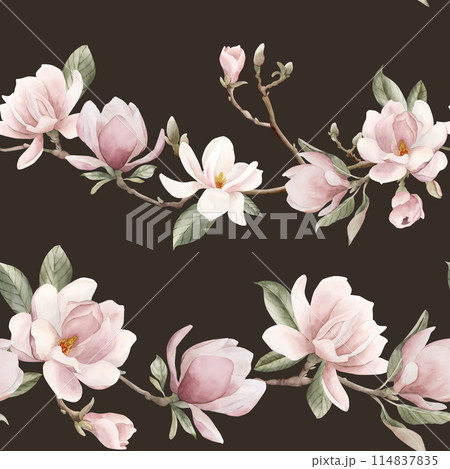 Light pink magnolia branch with buds and leaves. Watercolor floral seamless pattern on dark background. Spring blossom for flower fabric, cosmetic packaging, wrapping paper and home textile 114837835