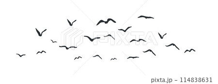 Group of flying birds flock silhouettes, a flock of flying birds Group of flying birds flock silhouettes, a flock of flying birds 114838631