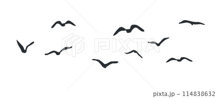 Group of flying birds flock silhouettes, a flock of flying birds Group of flying birds flock silhouettes, a flock of flying birds 114838632