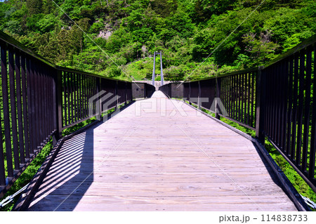 栃木県日光市 鬼怒楯岩大吊橋 栃木県日光市 鬼怒楯岩大吊橋 114838733