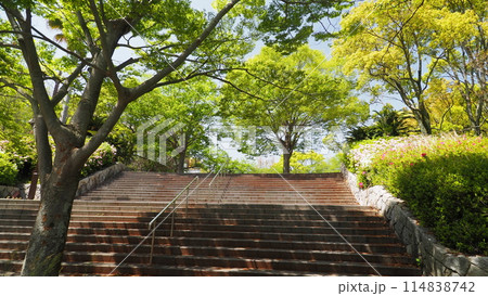 初夏の日差しが眩しっ！通津美が浦公園 114838742