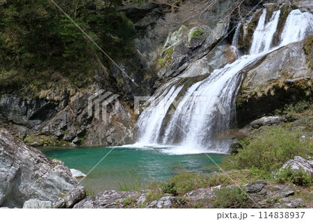 瀬戸川渓谷のアメガエリの滝　土佐の名水　（高知県　土佐町） 114838937