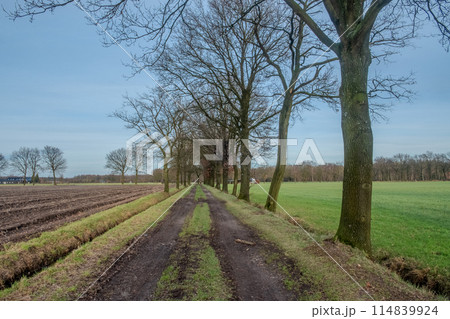 Winter Country Trail Between Plowed Fields 114839924