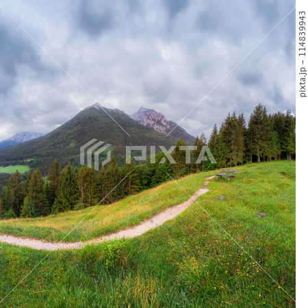 Meadow with road and bench in Berchtesgaden National Park 114839943