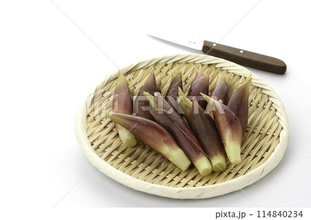 新鮮な茗荷 みょうが (白背景) 新鮮な茗荷 みょうが (白背景) 114840234