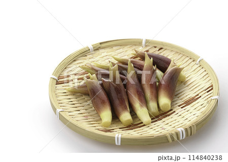 新鮮な茗荷 みょうが (白背景) 114840238