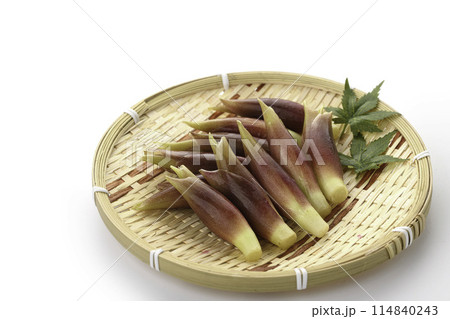 新鮮な茗荷 みょうが (白背景) 114840243