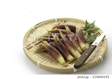 新鮮な茗荷 みょうが (白背景) 新鮮な茗荷 みょうが (白背景) 114840245