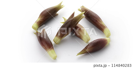 新鮮な茗荷 みょうが (白背景) 114840283