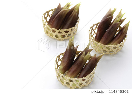 新鮮な茗荷 みょうが (白背景) 114840301