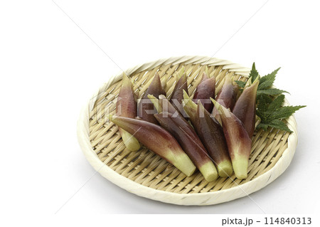 新鮮な茗荷 みょうが (白背景) 114840313