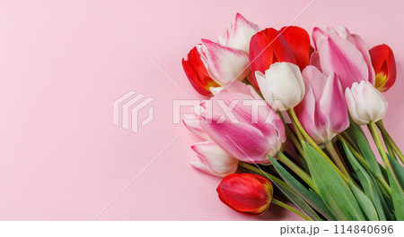 Pastel colorful tulips grace the table, providing a serene and vibrant backdrop Pastel colorful tulips grace the table, providing a serene and vibrant backdrop 114840696