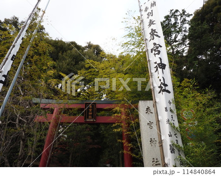 来宮神社 114840864
