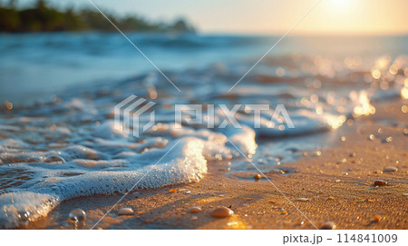 夕日に輝く砂浜の波打ち際 114841009