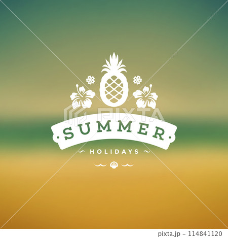Summer holidays label or badge typography slogan design 114841120