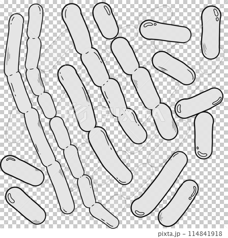 outline of Lactobacillus bacteria 114841918