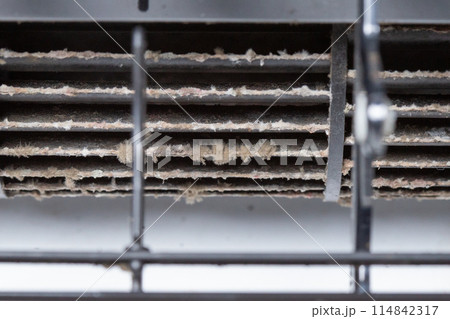 エアコンのファンの汚れ カビ ホコリをクローズアップ エアコンのファンの汚れ カビ ホコリをクローズアップ 114842317
