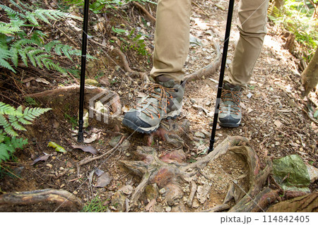 登山　トレッキング　ハイキング 114842405