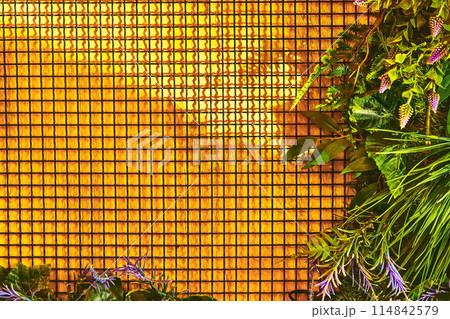 Yellow sunny wooden wall background with cells,green vegetation Yellow sunny wooden wall background with cells,green vegetation 114842579