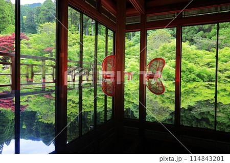 窓から見える新緑 114843201