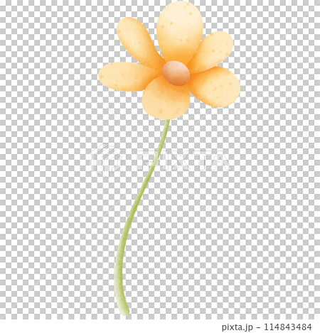Bee 114843484